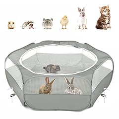 Pawaboo small animals for sale  Delivered anywhere in UK
