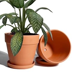Vensovo inch clay for sale  Delivered anywhere in USA 