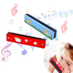 Coyun pezzi armonica usato  Spedito ovunque in Italia 