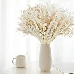 White dried pampas for sale  Delivered anywhere in UK