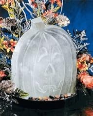 Reusable pumpkin ice for sale  Delivered anywhere in USA 