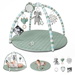 Blissful diary baby for sale  Delivered anywhere in USA 