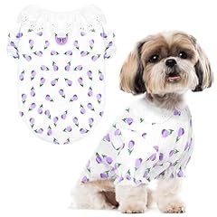 Abrrlo cute dog for sale  Delivered anywhere in USA 
