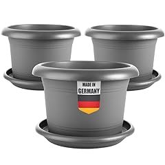 Sustania elegantes 3er gebraucht kaufen  Wird an jeden Ort in Deutschland