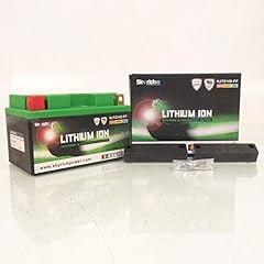Skyrich lithium battery for sale  Delivered anywhere in UK