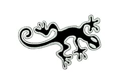 Rucksackaufnäher motiv gecko gebraucht kaufen  Wird an jeden Ort in Deutschland