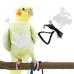 Pet parrot bird for sale  Delivered anywhere in USA 
