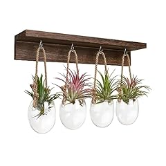 Ohohflower pcs wall for sale  Delivered anywhere in USA 