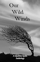 Our wild winds usato  Spedito ovunque in Italia 
