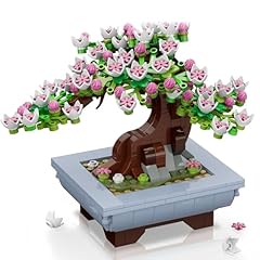 Hogokids bonsai ciliegio usato  Spedito ovunque in Italia 