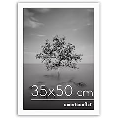 Americanflat cornice 35x50 usato  Spedito ovunque in Italia 