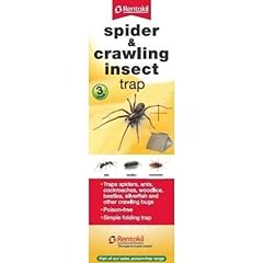 Rentokil pack spider for sale  Delivered anywhere in Ireland