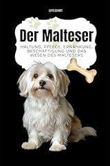 Malteser haltung pflege gebraucht kaufen  Wird an jeden Ort in Deutschland
