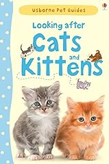 Looking cats kittens for sale  Delivered anywhere in Ireland