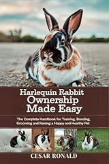 Harlequin rabbit ownership for sale  Delivered anywhere in USA 