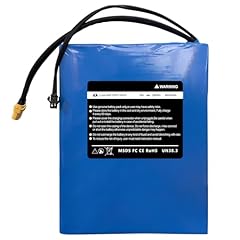 Cbjj 36v 8ah for sale  Delivered anywhere in USA 