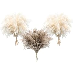 Pcs pampas grass for sale  Delivered anywhere in UK