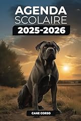 Agenda scolaire 2025 d'occasion  Livré partout en France