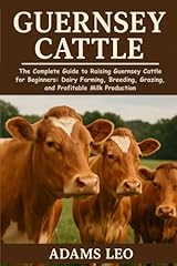 Guernsey cattle complete for sale  Delivered anywhere in USA 