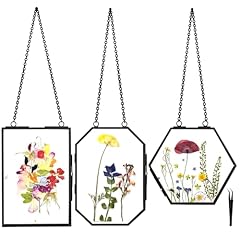Hanging pressed flower for sale  Delivered anywhere in USA 