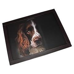 Springer spaniel cushioned for sale  Delivered anywhere in UK