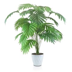 Insanyj palme pflanze gebraucht kaufen  Wird an jeden Ort in Deutschland