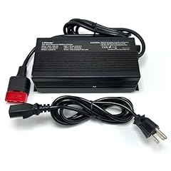 24v amp lithium for sale  Delivered anywhere in USA 