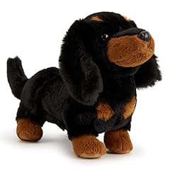 Zappi daisy dachshund for sale  Delivered anywhere in UK