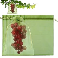 Shintop 100pcs fruit for sale  Delivered anywhere in USA 