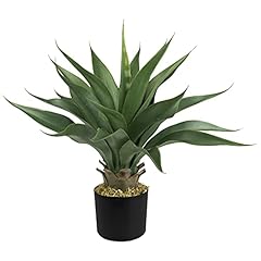 Decovego aloe vera gebraucht kaufen  Wird an jeden Ort in Deutschland