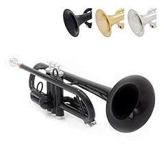Pinstrument ptrumpet hytech usato  Spedito ovunque in Italia 