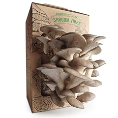 Set per funghi usato  Spedito ovunque in Italia 