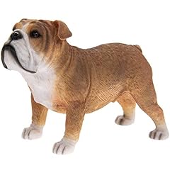 Fawn white british for sale  Delivered anywhere in UK