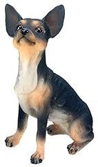 Stealstreet chihuahua dog for sale  Delivered anywhere in USA 