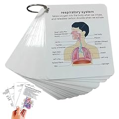 Human body system for sale  Delivered anywhere in USA 