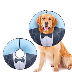Expawlorer large widen for sale  Delivered anywhere in USA 