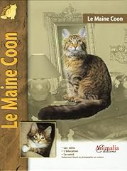 Maine coon d'occasion  Livré partout en Belgiqu