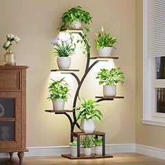Bacekoll plant stand for sale  Delivered anywhere in USA 