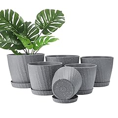 Plant pots indoor for sale  Delivered anywhere in UK