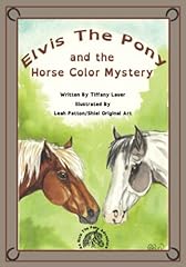 Elvis pony horse for sale  Delivered anywhere in USA 