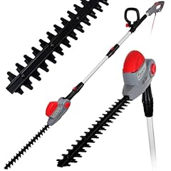 Netta pole hedge for sale  Delivered anywhere in UK