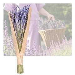 Lavendel getrocknet bund gebraucht kaufen  Wird an jeden Ort in Deutschland