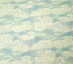 Dolly cotton fabric for sale  Delivered anywhere in USA 