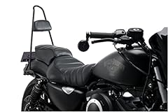 Schienale sissy bar usato  Spedito ovunque in Italia 