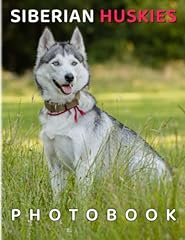Siberian huskies photo for sale  Delivered anywhere in USA 