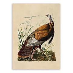 Jorjor decor wild for sale  Delivered anywhere in USA 