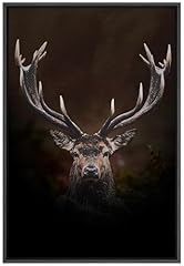 Signford framed canvas for sale  Delivered anywhere in USA 