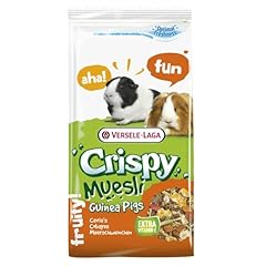 Versele laga crispy usato  Spedito ovunque in Italia 