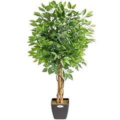 Christow artificial ficus for sale  Delivered anywhere in UK