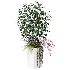 Verinatural kunstpflanze ficus gebraucht kaufen  Wird an jeden Ort in Deutschland